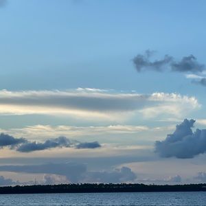 Meet your Posher, Bella